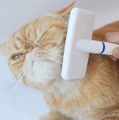 Четка за кучета и котки